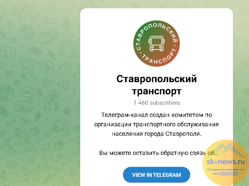 В чат-бот комитета по организации транспортного обслуживания Ставрополя пришло около 700 сообщений