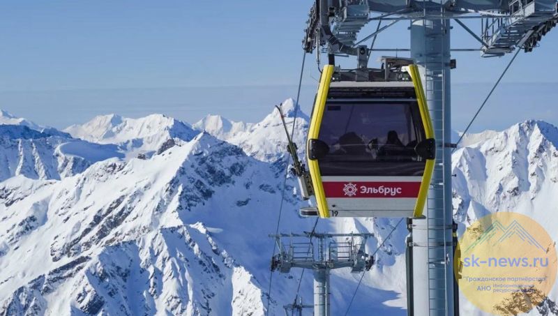 Образование