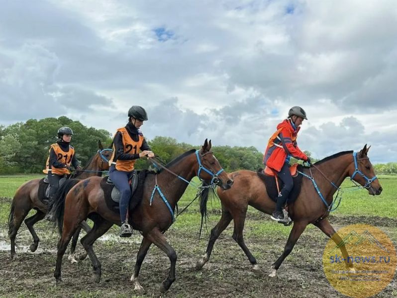 В Кабардино-Балкарии открылась регистрация на чемпионат по конным пробегам