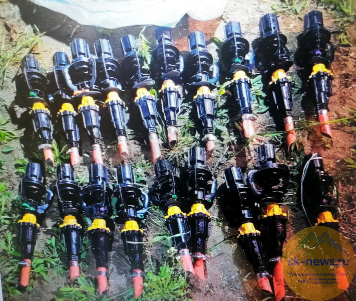 Культура