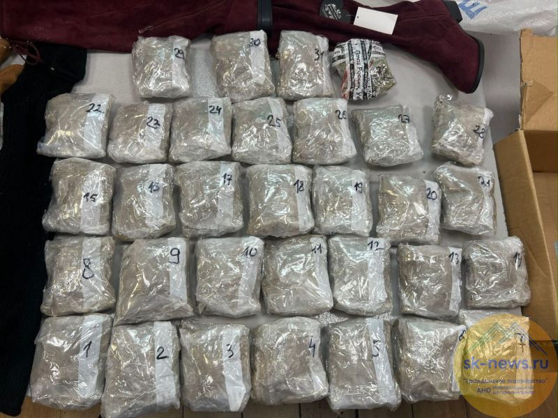 Странная посылка из Сан-Франциско обернулась колонией для жителя Пятигорска