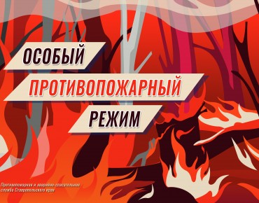 Брошенный окурок и непотушенный костёр: с 1 июля на Ставрополье начал действовать особый противопожарный режим