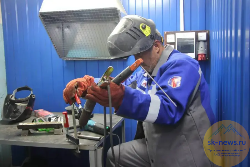 Ставрополь, Невинномысск, Пятигорск, Шпаковский округ и Георгиевск – ТОП 5 муниципалитетов по трудоустройству