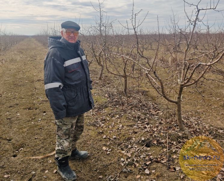 Образование