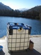 2011.12.28-diving06.JPG