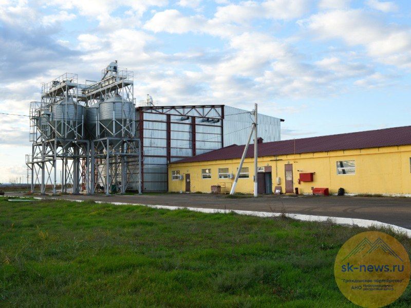 Один из крупных проектов в сфере агропрома СКФО после эпидемии птичьего гриппа вышел на полную мощность