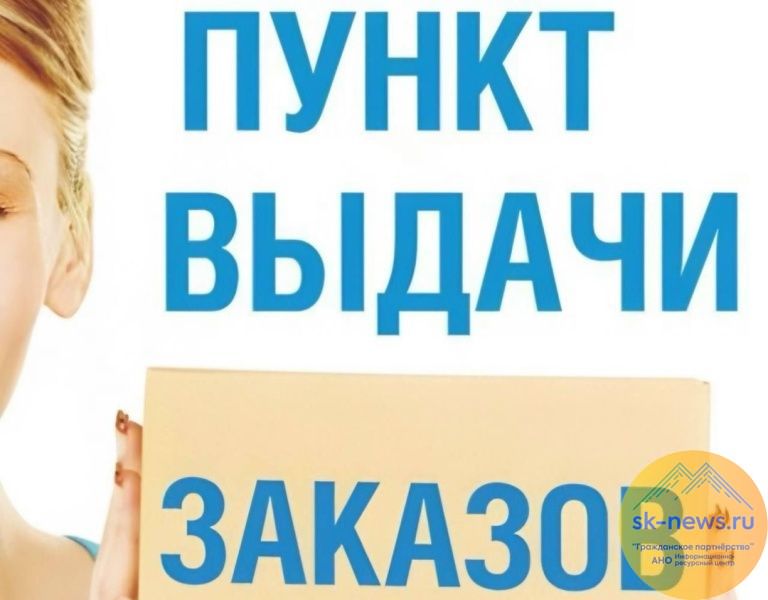 В КЧР почти на 100 тысяч рублей обманула хозяйку пункта выдачи товаров 18-летняя девушка