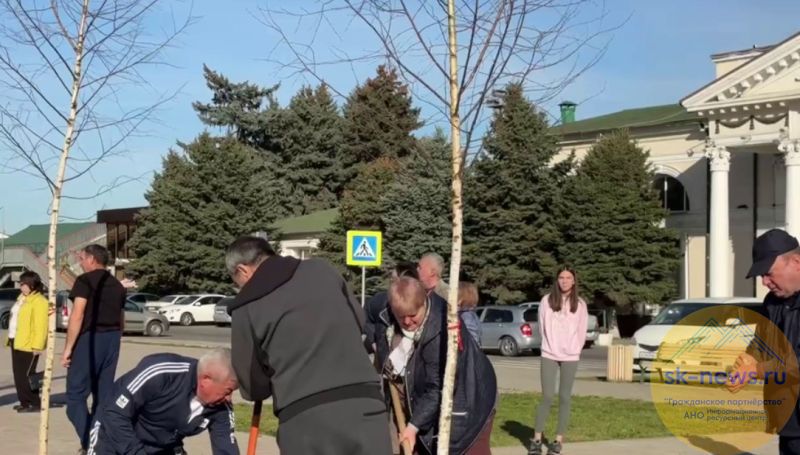 У ж\д вокзала в Нальчике появится зона отдыха в тени берез